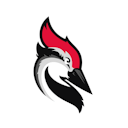 WoodpeckerConvertedCLIAPI@1.50.4 logo